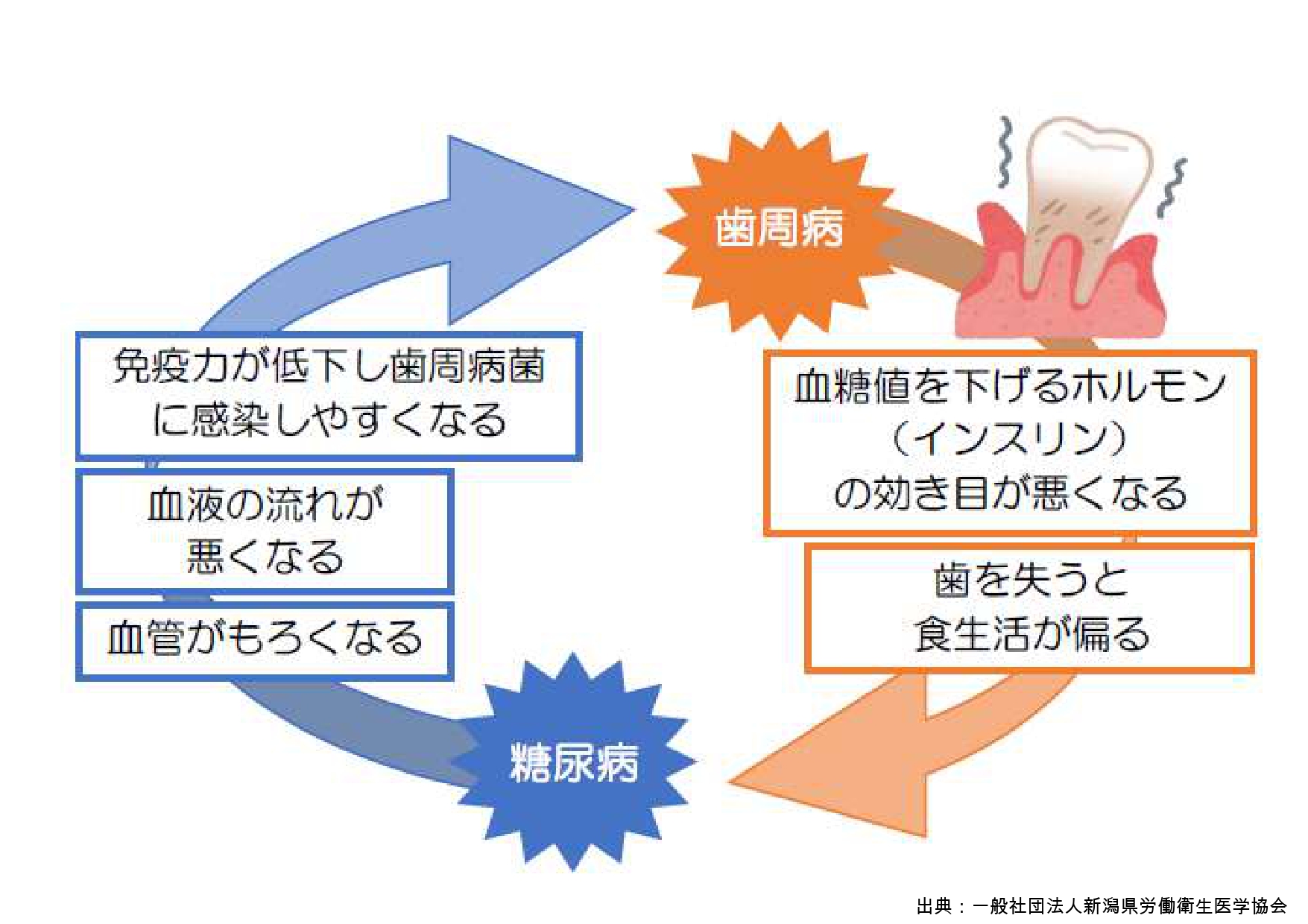 日本糖尿病協会の登録歯科医になりました。